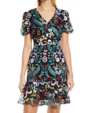 Sam Edelman Embroidered Puff Sleeve A-Line Mesh Dress - Size 6